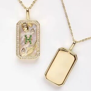 New Pisces ♓️ necklace